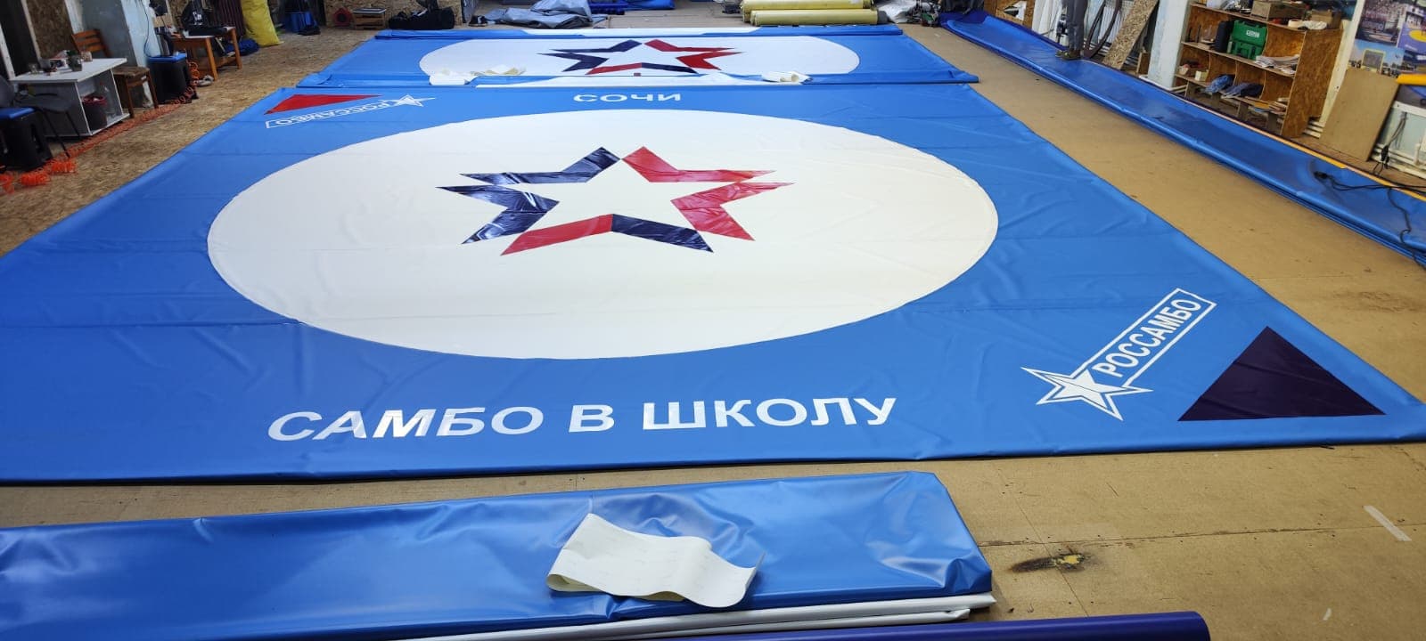 Проект «Самбо в школу»