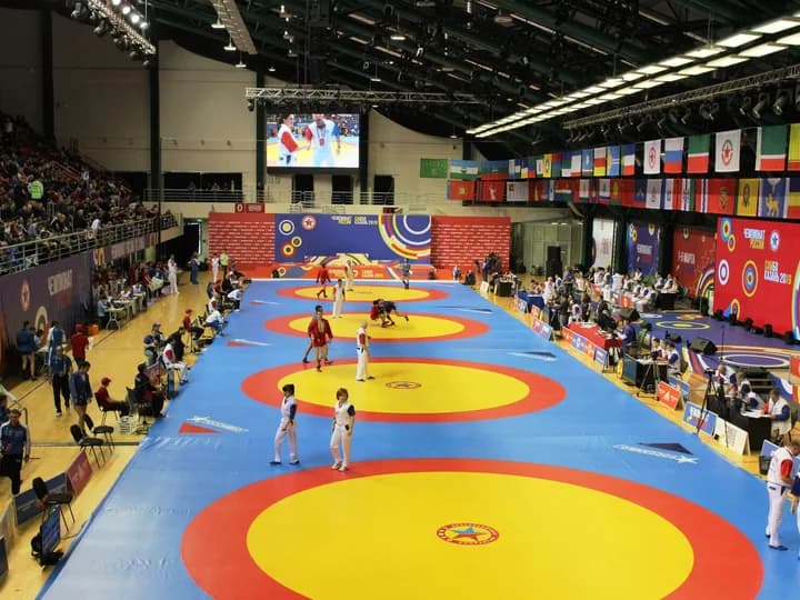 Чемпионат России по самбо