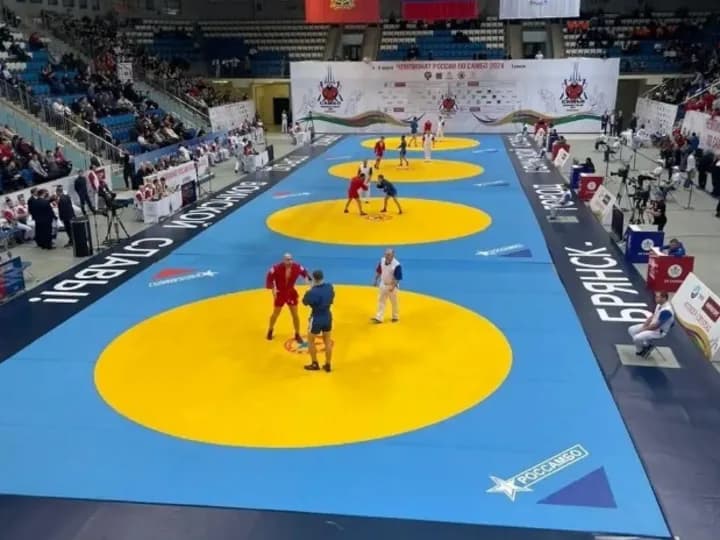 Чемпионат России по самбо
