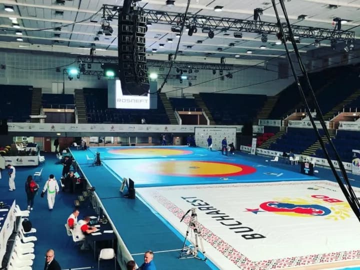 Чемпионат мира по самбо