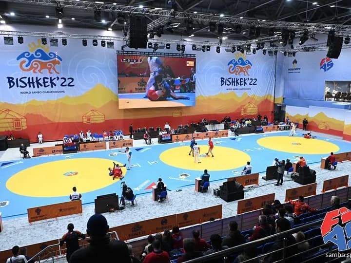 Чемпионат мира по самбо